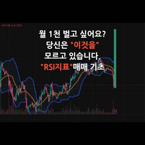 rsi지표