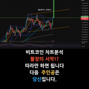 비트코인 차트분석